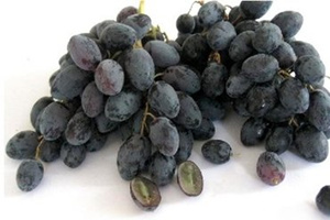 ����Ĺ�Ч������