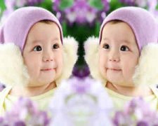 ������������ Ԥ���������������Ĵ�ʩ