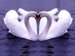 ���֮����ͯС���� ��ͯ˯ǰ����