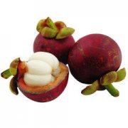 �׶�԰��ͯ�����ȫ ˮ��������Ϸ