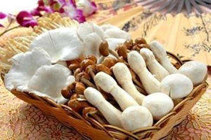 ���ֹ����Ӫ����ֵ�͹�Ч