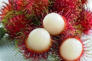 ��ë����Ӫ����ֵ