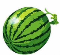 �������Գ������� ����������ע������