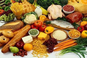 ʲôʳ������������