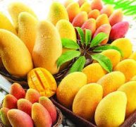 �Ÿ��µı������Գ�â���� �׶��ܳ�â����