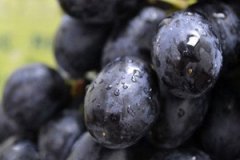 ����Ĺ�Ч����Щ �Ժ������������Щ�ô�