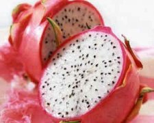 �������ԳԻ����� �����ܳԻ�������