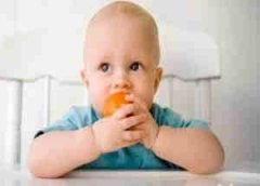 ����ƫʳ��ô�� ����ι��Ӫ��֪ʶ����