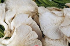 ��β����Ӫ����ֵ �Է�β����ʲôӪ����