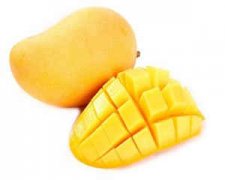 �������Գ�â���� �����ܳ�â����