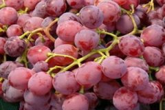 ���ӵĹ�Ч����������Щ ���Ӷ�����ĺô�