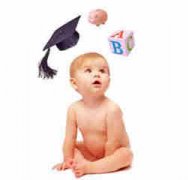 ������������֪ʶ ���ܳٻ����Ԥ��