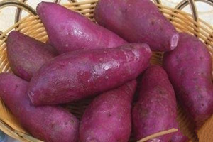 ������ʳ�÷���