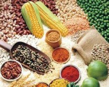 �׶�ι��ָ�� 1-3���׶�ι��֪ʶ