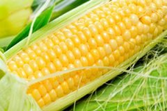 �����׵Ĺ�Ч����������Щ �����׵ĺô�