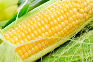 �����׵Ĺ�Ч������