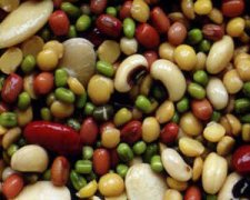 ��ͯʳ�״�ȫ�Ƽ� �Ͳ��н���