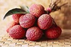 ��֦��Ӫ����ֵ