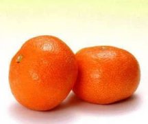 ���Բ��ܳԵĶ��� С��������ʳ����