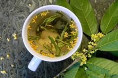 �𻨲�Ĺ�Ч����ɾ��嶼����Щ��