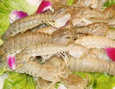 ���������������� ��Щʳ�ﲻ�ʺ�С������