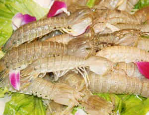 ����������������