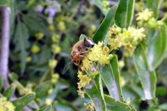 �滨�۵Ĺ�Ч����������Щ �滨�۵�������Ⱥ