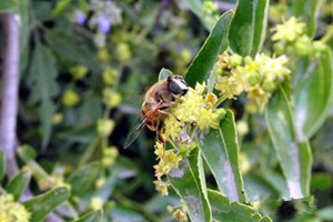 �滨�۵Ĺ�Ч������