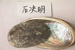 ʯ�����Ĺ�Ч����������Щ ʯ������ע������