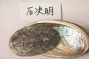 ʯ�����Ĺ�Ч������