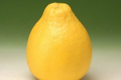 �����ӵĺô��ͻ��� ���ӵ�ʳ�÷���������Щ��