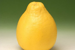 ���������ӵĺô��ͻ���