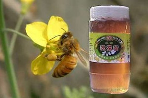 �����۵Ĺ�Ч������