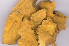 ���ȵĹ�Ч������ ���ȵĽ�������Щ