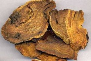 ��Ƶ������빦Ч