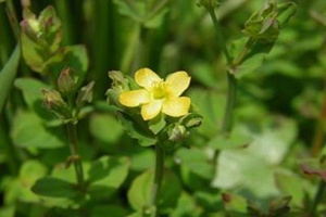 �ض��ݵĹ�Ч�����ü�����