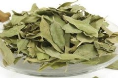 ɣ�Ҷ�Ĺ�Ч����������Щ ɣ�Ҷ��������Ⱥ