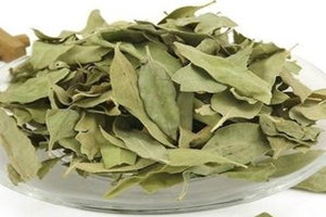 ɣ�Ҷ�Ĺ�Ч������