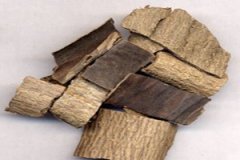 ���ٵ������빦Ч����Щ ���ٵ�ʳ�÷���