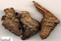 ���ڵĹ�Ч����������Щ ���ڵļ��𷽷�