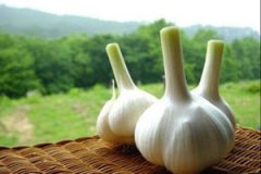 ����ĺô�����Щ Ů�˳�����ʲô�ô�