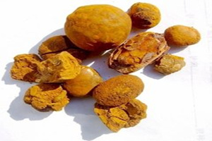 牛黄的功效与作用及禁忌