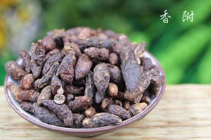 �㸽�Ĺ�Ч�����ü�����