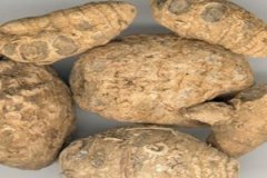 ݭ���Ĺ�Ч�����ü�ʳ�÷������嶼����Щ��