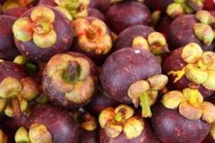 ɽ��Ĺ�Ч����������Щ ɽ����ʲô��Ч����