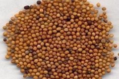 �����ӵĹ�Ч�����ü����ɶ�����Щ��