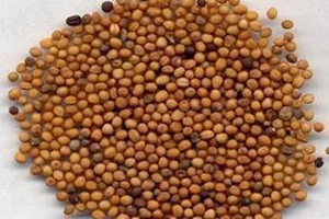 �����ӵĹ�Ч�����ü�����