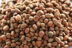 �����ӹ�Ч����������Щ �����ӵļ���