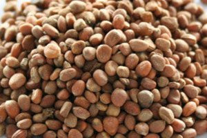 �����ӵĹ�Ч������