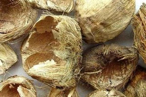 ��Ƥ�ĸ�����